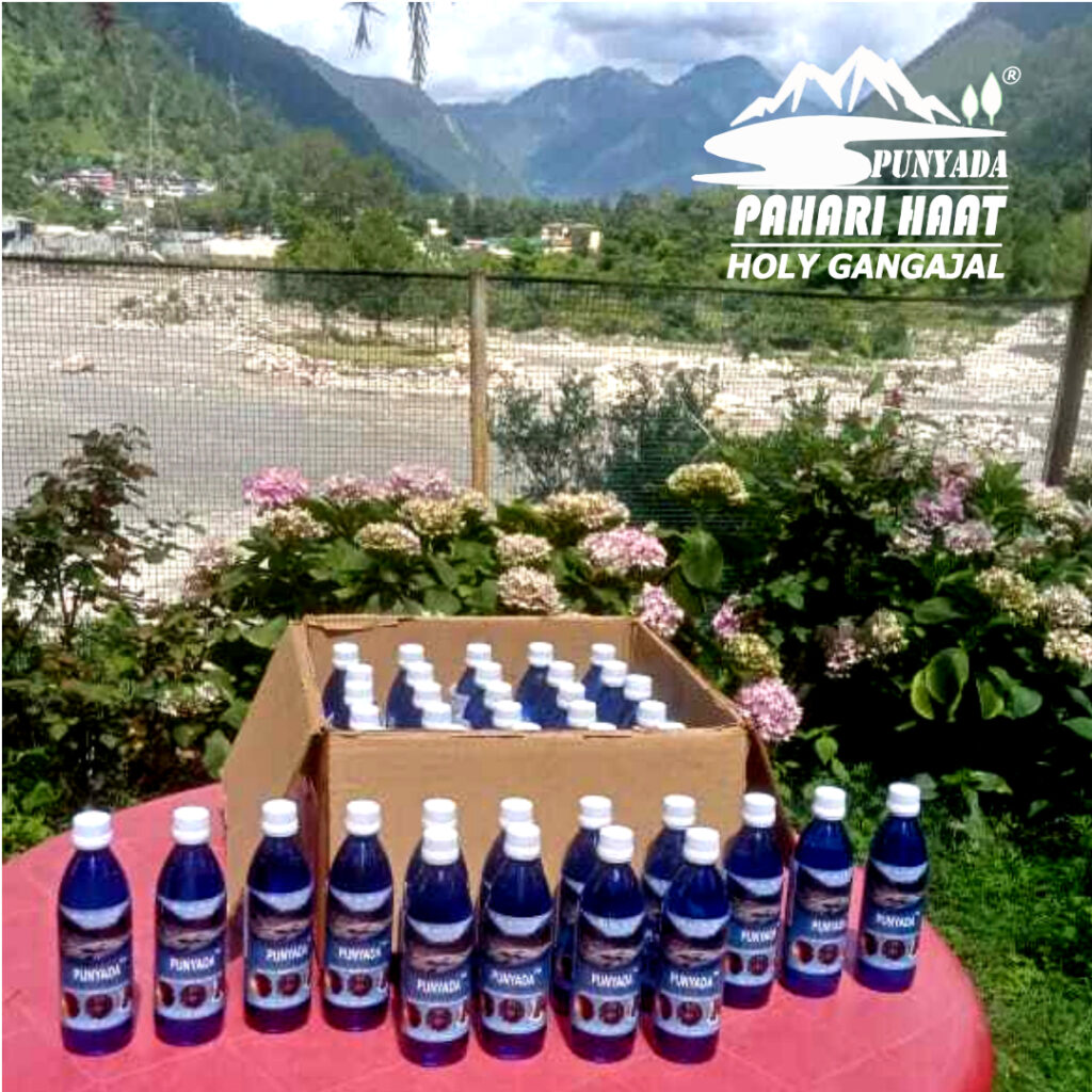 order gangotri gangajal from India